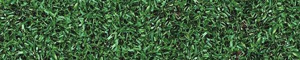 Turf