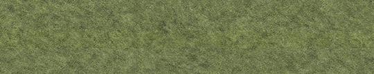 Formica 04974 Green Felt Edgebanding Match