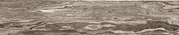 Weathered Olive