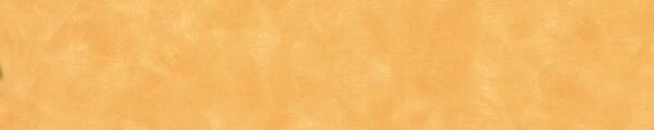 Maroochy Brush