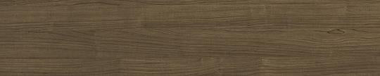Spice Maple
