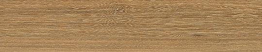Honey Elm