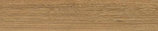 Formica 6407 Honey Elm Edgebanding Match