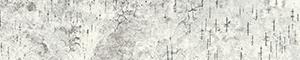 Birchbark
