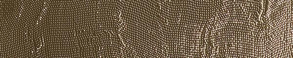 Polished Mesh Gold