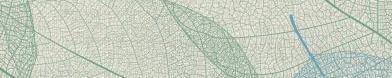 Blue/Green Apple Leaf XL