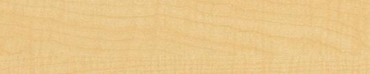 Sand Maple