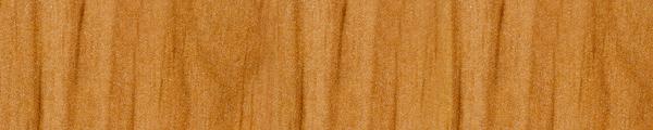 Alder Everex