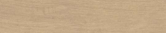 Formica F8584 Quercus Beige Edgebanding Match