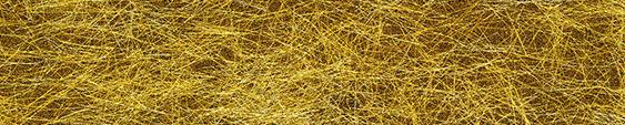 Gold Fiber