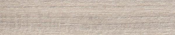 Swiss Elm Cold
