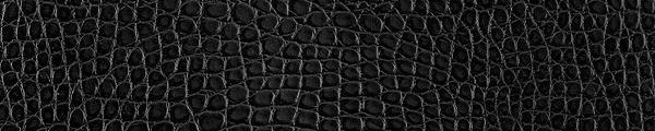 Dackor A012 Leather Black Alligator Edgebanding Match