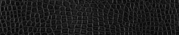 Leather Black Alligator